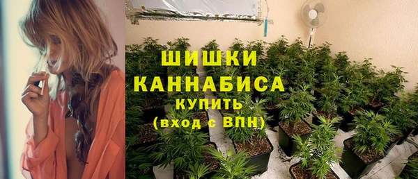 каннабис Новозыбков