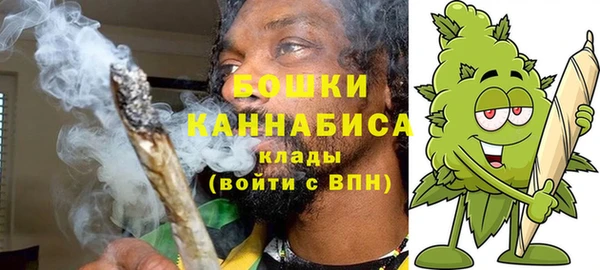 дурь Новодвинск
