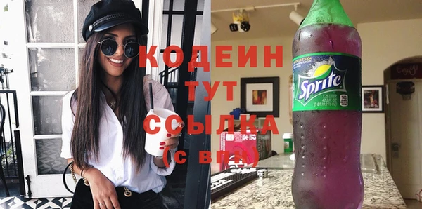 дурь Новодвинск