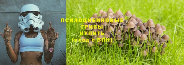 дурь Новодвинск